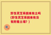野生灵芝采回来有土吗(野生灵芝采回来有没有附着土壤？)