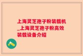上海灵芝孢子粉装载机_上海灵芝孢子粉高效装载设备介绍