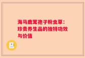 海马鹿茸孢子粉虫草：珍贵养生品的独特功效与价值
