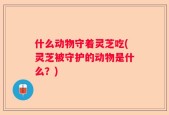 什么动物守着灵芝吃(灵芝被守护的动物是什么？)