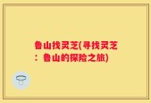 鲁山找灵芝(寻找灵芝：鲁山的探险之旅)