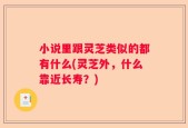 小说里跟灵芝类似的都有什么(灵芝外，什么靠近长寿？)