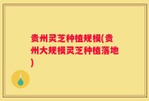贵州灵芝种植规模(贵州大规模灵芝种植落地)