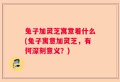 兔子加灵芝寓意着什么(兔子寓意加灵芝，有何深刻意义？)