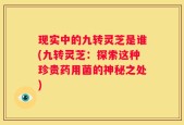 现实中的九转灵芝是谁(九转灵芝：探索这种珍贵药用菌的神秘之处)