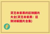 灵芝赤紫黑的区别图片大全(灵芝赤紫黑：区别详解图片合集)