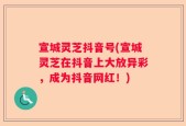 宣城灵芝抖音号(宣城灵芝在抖音上大放异彩，成为抖音网红！)