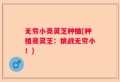无穷小亮灵芝种植(种植亮灵芝：挑战无穷小！)