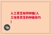 人工灵芝如何种植(人工培育灵芝的种植技巧)