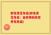 野生灵芝冬瓜(野生灵芝冬瓜：自然界的天然养生良品)