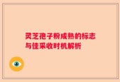 灵芝孢子粉成熟的标志与佳采收时机解析