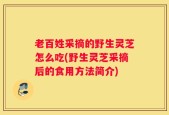 老百姓采摘的野生灵芝怎么吃(野生灵芝采摘后的食用方法简介)