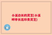 小溪边长的灵芝(小溪畔亭长出珍贵灵芝)