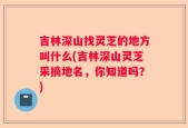 吉林深山找灵芝的地方叫什么(吉林深山灵芝采摘地名，你知道吗？)