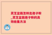 灵芝盆栽怎样出孢子粉_灵芝盆栽孢子粉的高效收集方法