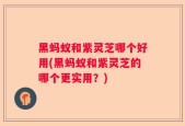 黑蚂蚁和紫灵芝哪个好用(黑蚂蚁和紫灵芝的哪个更实用？)
