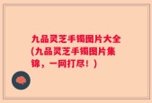 九品灵芝手镯图片大全(九品灵芝手镯图片集锦，一网打尽！)