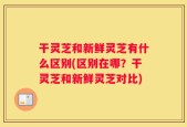 干灵芝和新鲜灵芝有什么区别(区别在哪？干灵芝和新鲜灵芝对比)