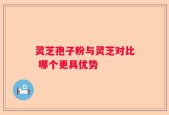 灵芝孢子粉与灵芝对比 哪个更具优势