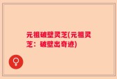 元祖破壁灵芝(元祖灵芝：破壁出奇迹)