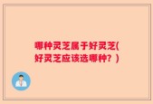哪种灵芝属于好灵芝(好灵芝应该选哪种？)