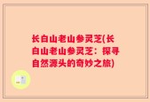 长白山老山参灵芝(长白山老山参灵芝：探寻自然源头的奇妙之旅)