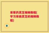 采草药灵芝视频教程(学习采摘灵芝的视频教程)