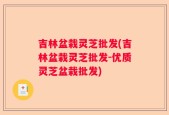 吉林盆栽灵芝批发(吉林盆栽灵芝批发-优质灵芝盆栽批发)