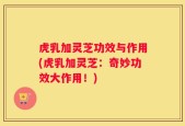 虎乳加灵芝功效与作用(虎乳加灵芝：奇妙功效大作用！)