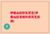 伊春山区野生灵芝(伊春山区发现珍贵灵芝资源)