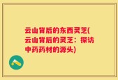 云山背后的东西灵芝(云山背后的灵芝：探访中药药材的源头)