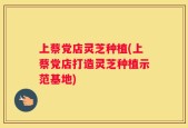 上蔡党店灵芝种植(上蔡党店打造灵芝种植示范基地)
