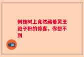 刺槐树上竟然藏着灵芝孢子粉的惊喜，你想不到
