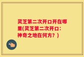 灵芝第二次开口开在哪里(灵芝第二次开口：神奇之地在何方？)