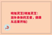 晓旭灵芝(晓旭灵芝：滋补身体的王者，健康从这里开始)