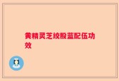 黄精灵芝绞股蓝配伍功效
