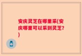 安庆灵芝在哪里采(安庆哪里可以采到灵芝？)