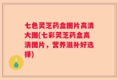 七色灵芝药盒图片高清大图(七彩灵芝药盒高清图片，营养滋补好选择)