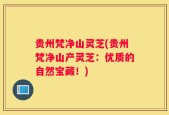 贵州梵净山灵芝(贵州梵净山产灵芝：优质的自然宝藏！)