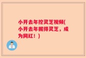 小开去年挖灵芝视频(小开去年掘得灵芝，成为网红！)