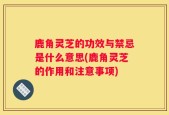 鹿角灵芝的功效与禁忌是什么意思(鹿角灵芝的作用和注意事项)