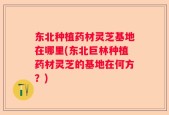 东北种植药材灵芝基地在哪里(东北巨林种植药材灵芝的基地在何方？)