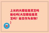 上长的大蘑菇是灵芝吗能吃吗(大型蘑菇是灵芝吗？能否作为食物？)