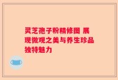 灵芝孢子粉精修图 展现微观之美与养生珍品独特魅力