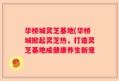 华桥城灵芝基地(华桥城掀起灵芝热，打造灵芝基地成健康养生新宠