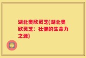 湖北奥欣灵芝(湖北奥欣灵芝：壮健的生命力之源)