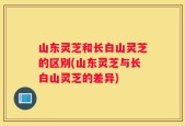 山东灵芝和长白山灵芝的区别(山东灵芝与长白山灵芝的差异)