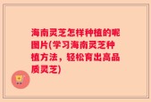 海南灵芝怎样种植的呢图片(学习海南灵芝种植方法，轻松育出高品质灵芝)