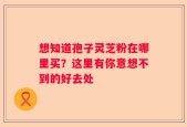 想知道孢子灵芝粉在哪里买？这里有你意想不到的好去处