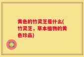 黄色的竹灵芝是什么(竹灵芝，草本植物的黄色珍品)